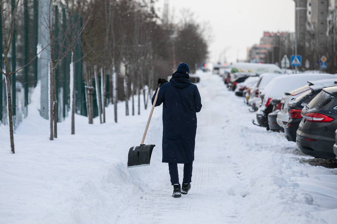 Sniego kasimo talka aplink Pilaitės maniežą