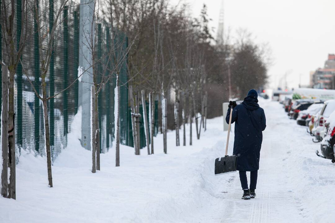 Sniego kasimo talka aplink Pilaitės maniežą