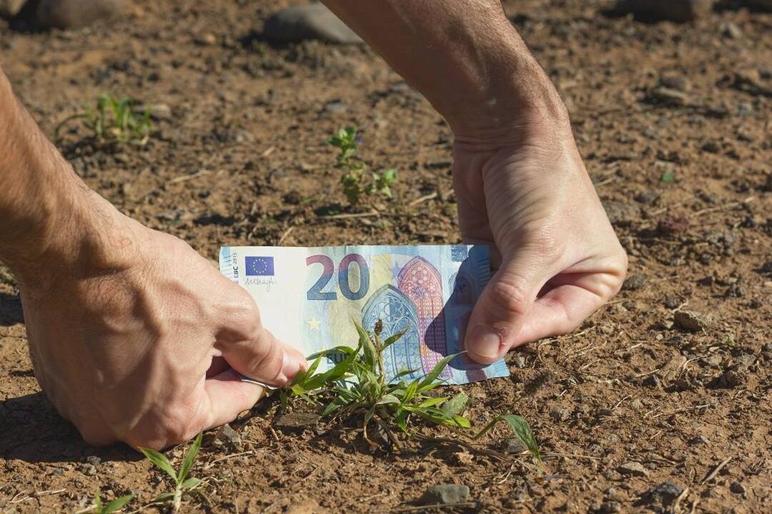 Ūkininkai  – apstulbę: ar šie pinigai yra kažkokie netikri, kruvini, o gal smirda?