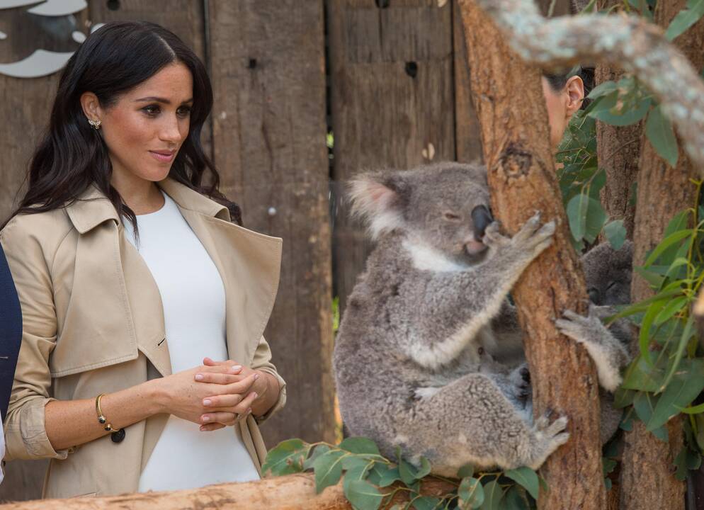 Meghan Markle ir Princas Harry