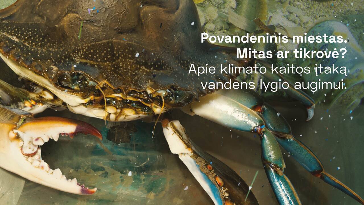 Tikslas: klaipėdiečiams jūra – artima ir brangi, o klimato kaitos problema – aktuali esamiems bei būsimiems planetos gyventojams, todėl siekiama įtraukti jaunimą į diskusiją ir ieškoti efekty-viausių problemos sprendimo būdų.