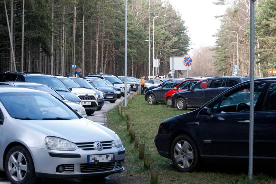 Malonumai: kalendorinio pavasario pradžią daugybė klaipėdiečių automobiliais skubėjo prie jūros.