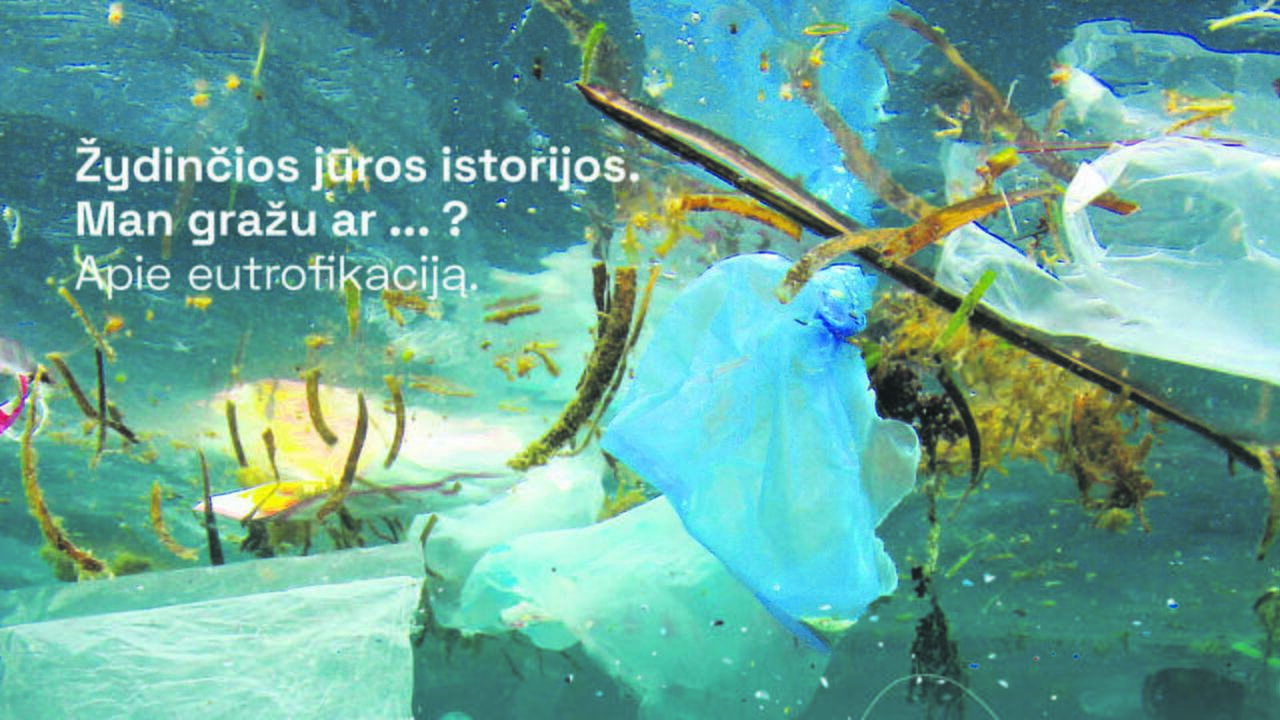 Tikslas: klaipėdiečiams jūra – artima ir brangi, o klimato kaitos problema – aktuali esamiems bei būsimiems planetos gyventojams, todėl siekiama įtraukti jaunimą į diskusiją ir ieškoti efekty-viausių problemos sprendimo būdų.