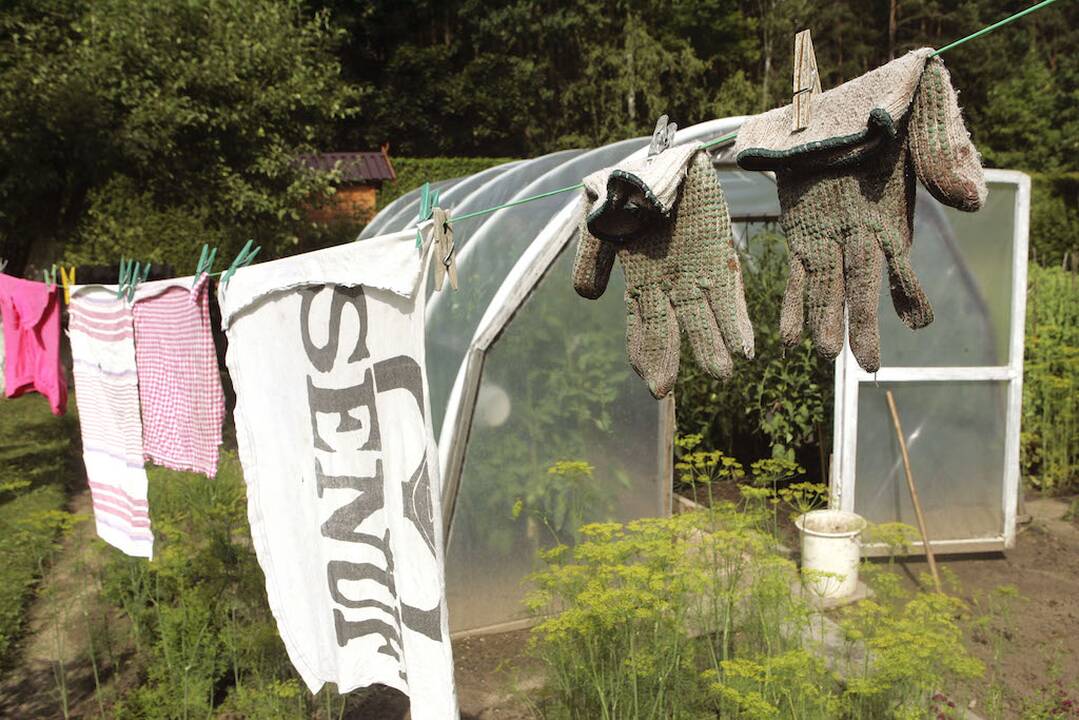 Pavojai: vasarą sodininkai turi labai daug darbo, kartais jie pluša nė nepastebėdami, kad fizinis krūvis – pernelyg didelis.