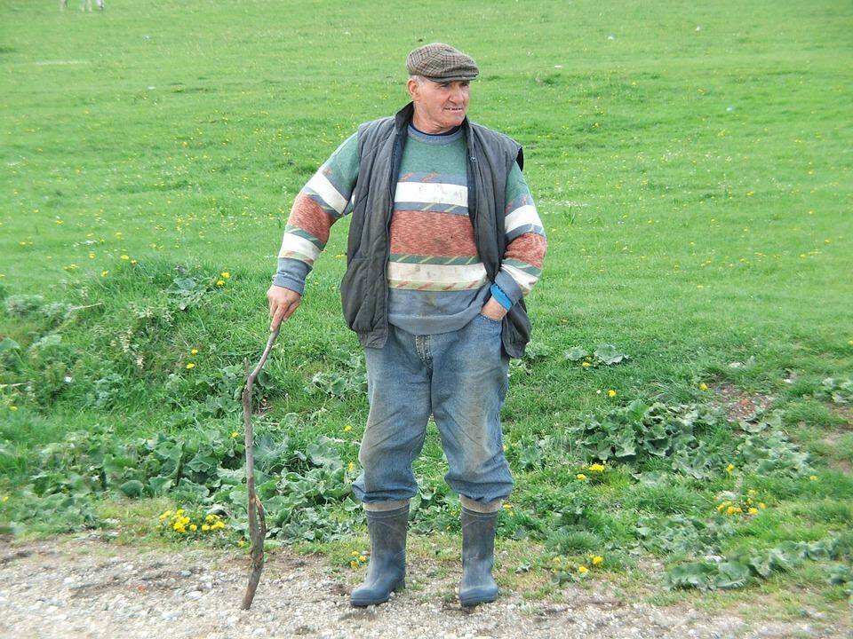 Ūkininkų vargai: dėl karšto ir sauso oro kenčia daržovės