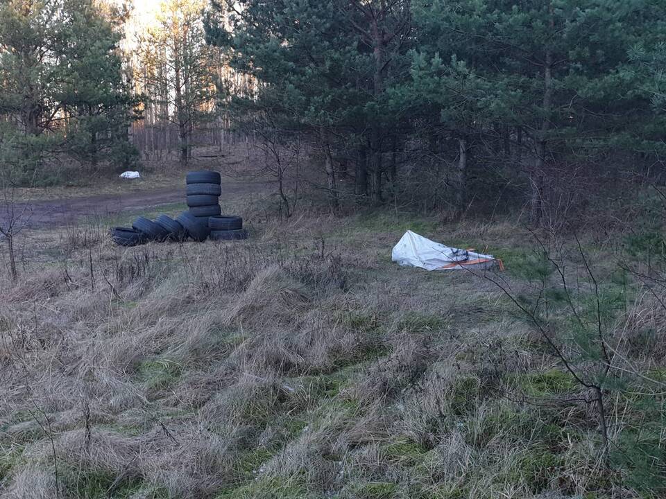 Šiukšlės: Kairių pušyne – ne tik kalnai padangų ir kitokių šiukšlių, bet net ir keturkojų gaišenos.