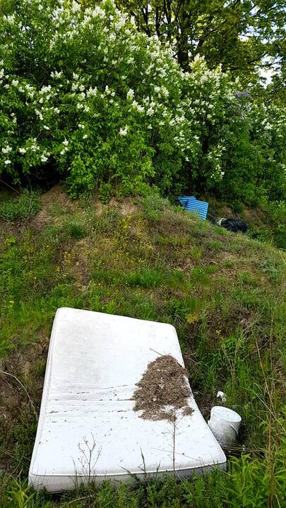 Prišiukšlino: tokį vaizdą prie Žardės senųjų kapinių išvydusi klaipėdietė pašiurpo.