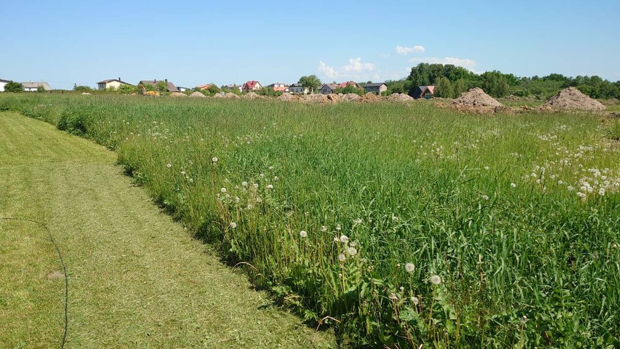 Nenušienavo: gyventojai skundžiasi, kad tenka bristi per erkių pilnas pievas.