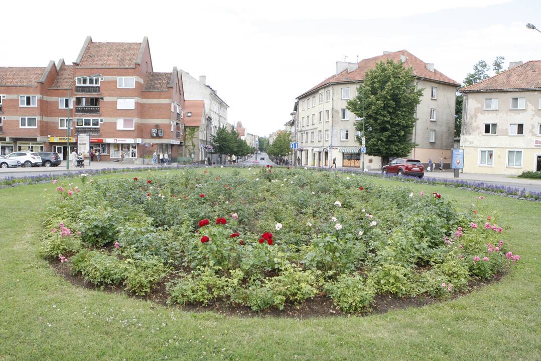 Paskabė: klaipėdiečiai pastebėjo, kad rožyne prie Senojo turgaus sumažėjo žiedų.