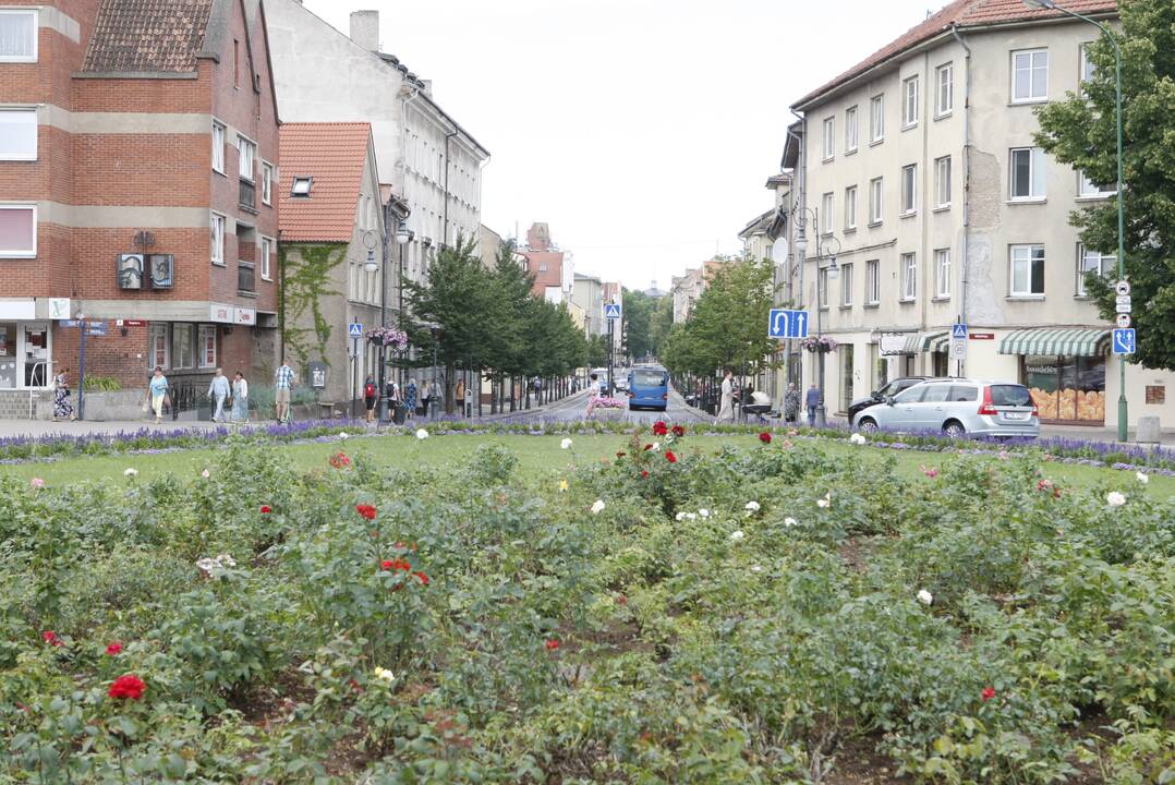Paskabė: klaipėdiečiai pastebėjo, kad rožyne prie Senojo turgaus sumažėjo žiedų.