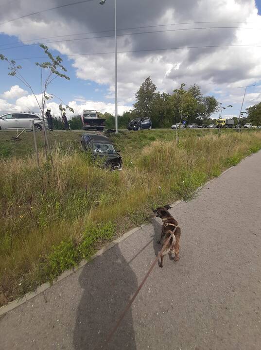 Šiurpas: susidūrimą matę žmonės ilgai negalės pamiršti šio vaizdo.