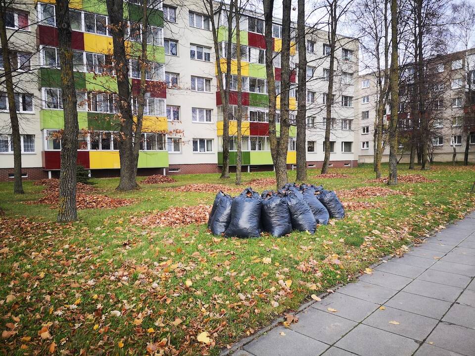 Tvarka: kiemuose palikti maišai su lapais nebus nemokamai surenkami – jų išvežimu teks rūpintis teritorijos administratoriui.