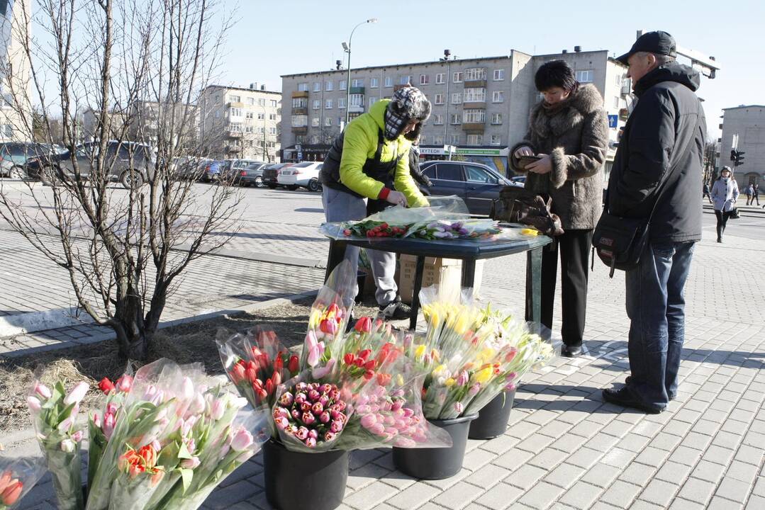 Pasirengimas: uostamiesčio gėlių prekeiviai jau ruošiasi darbui Kovo 8-ąją – pateikti prašymai prekiauti beveik visose mieste numatytose vietose.