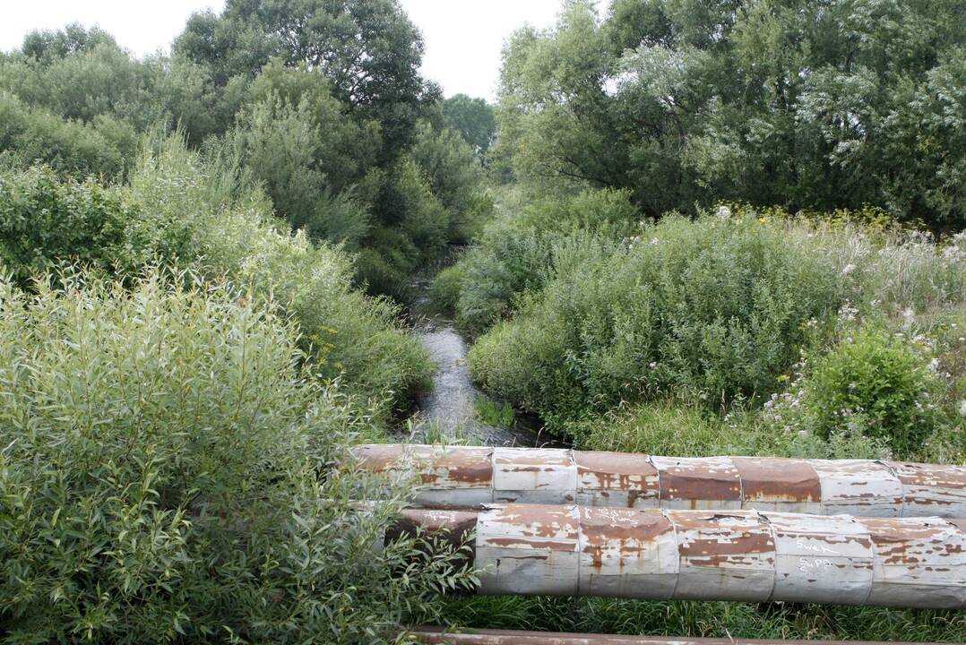 Upelis: dėl miesto planų tvarkant Smeltalės upelį kyla nemažai aistrų ir klausimų.