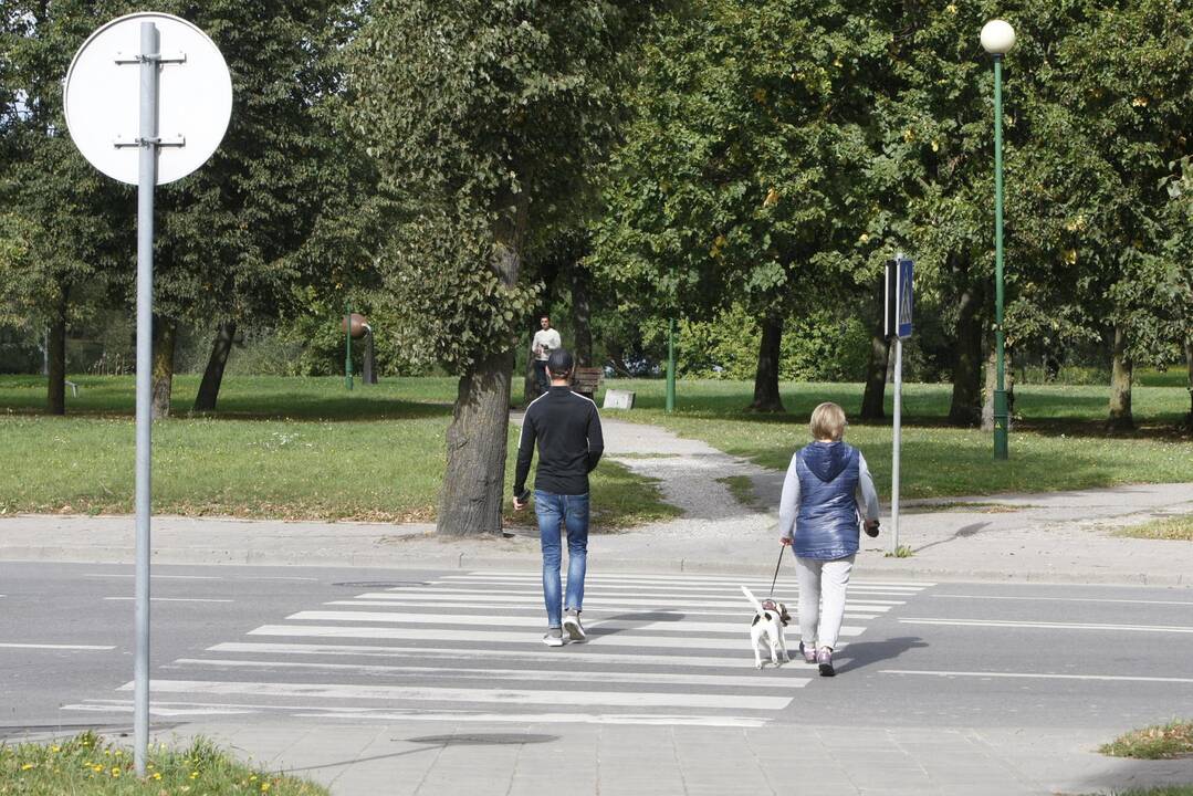 Darbai: mieste įrengiami pėsčiųjų ir dviračių takai.