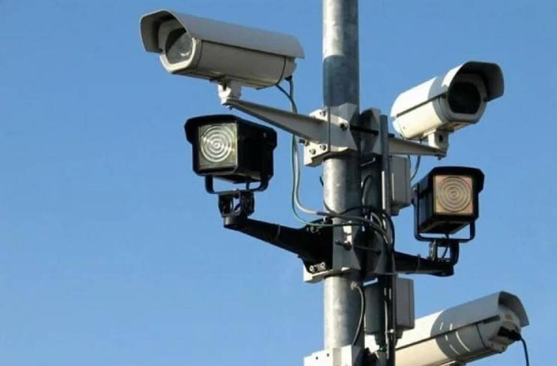 Chuliganizmas: kelių erelis, ko gero, šaipėsi iš jį fiksavusių vaizdo kamerų.