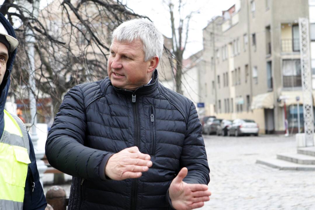 Pradėta montuoti Klaipėdos eglutė