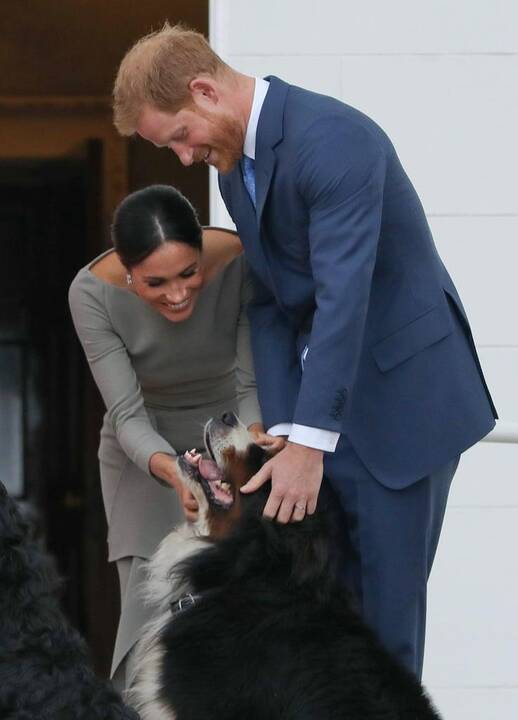 Meghan Markle ir Princas Harry