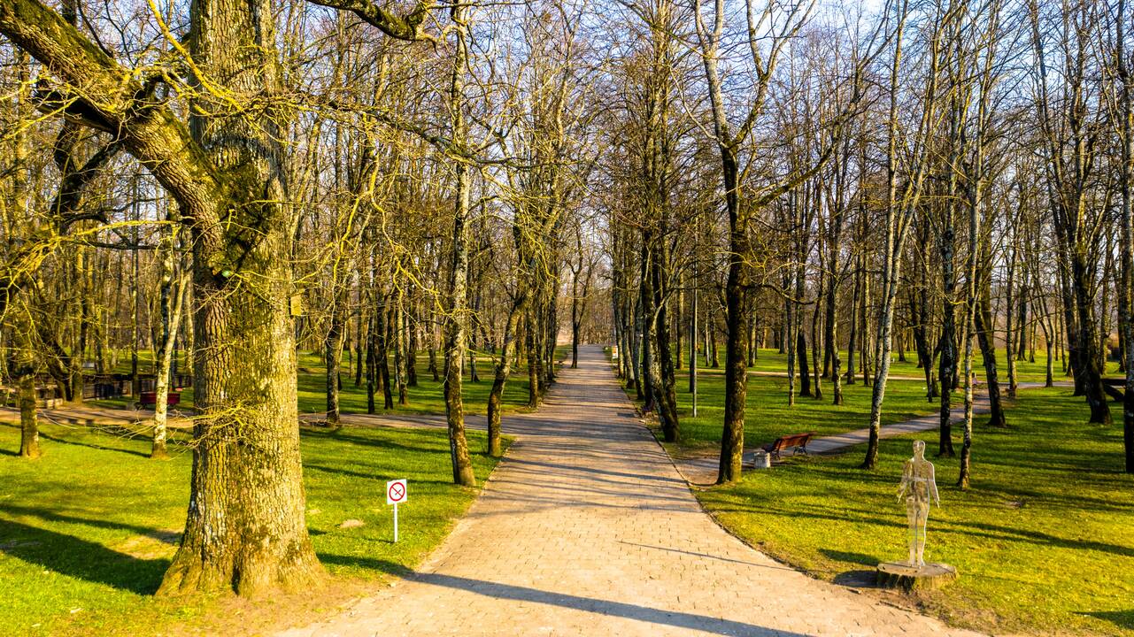 Jau šią vasarą Gargždų parke prasidės darbai