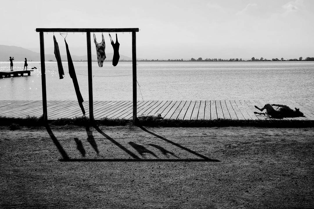 Mūsų vasaros laikas. Delta de’l Ebre, Katalonija, Ispanija, 2018. iPhone X