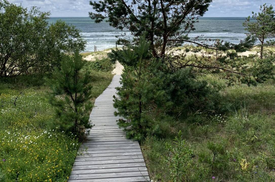 Vietos: ir dabar Smiltynėje yra prie jūros vedančių takų.