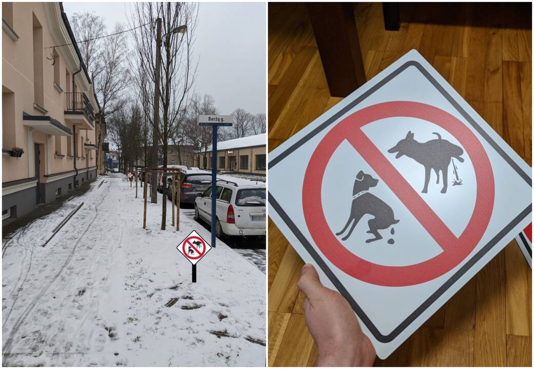 Švara: Malūnininkų gatvės gyventojai nori uždrausti savo kieme vedžioti šunis.