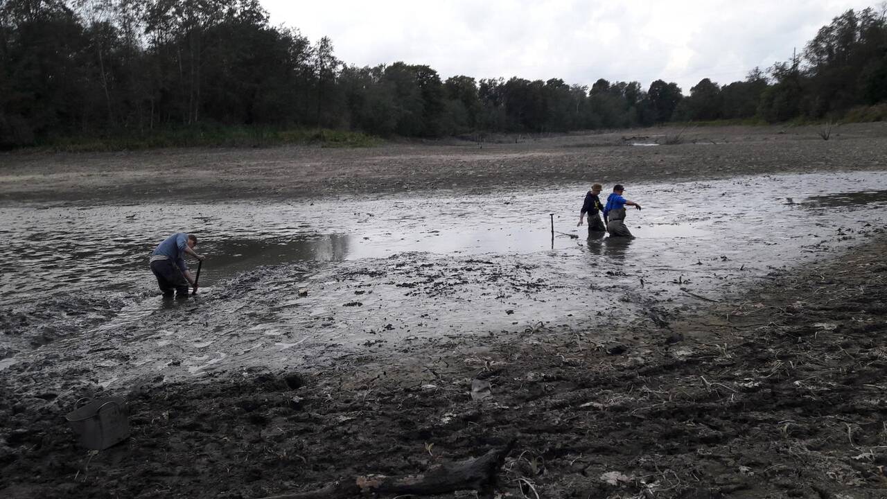 Iniciatyva: neabejingi žmonės savaitgalį savo rankomis sėmė žuvis į talpas su vandeniu.
