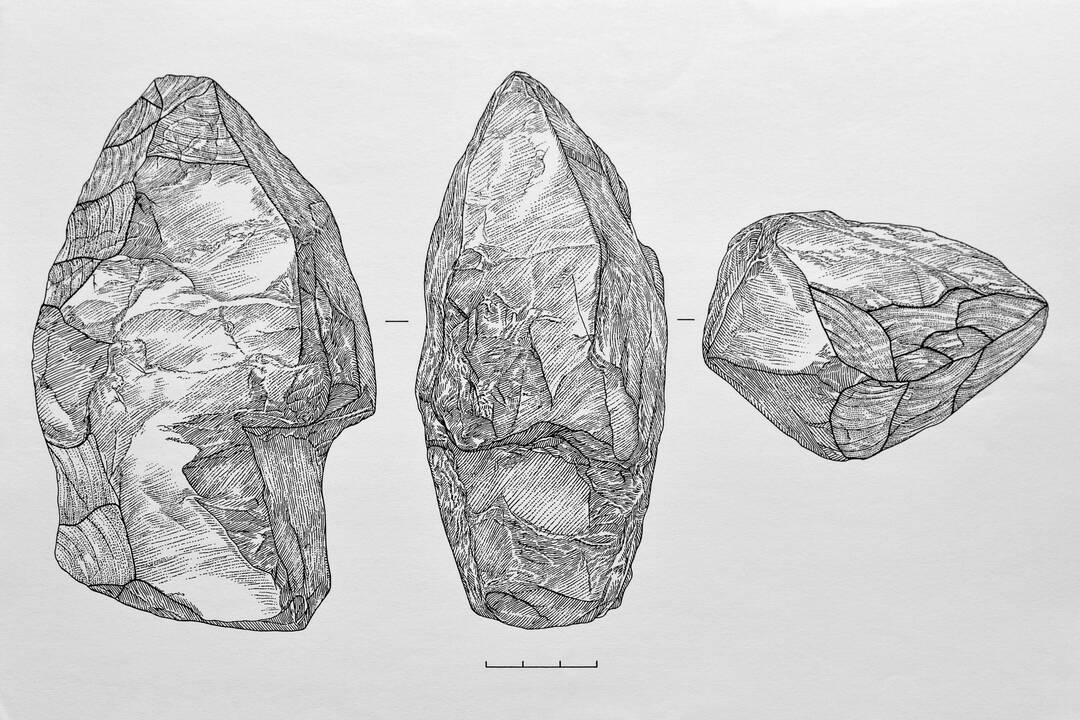Aistra: I. Maciukaitė – pievų moteris, fotoaparatu sekanti gyvos gamtos istorijas.