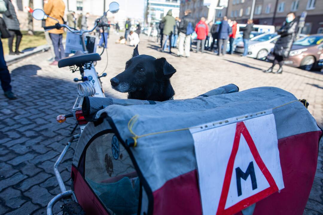 Prie Seimo – protestas dėl vairavimo egzaminų atnaujinimo