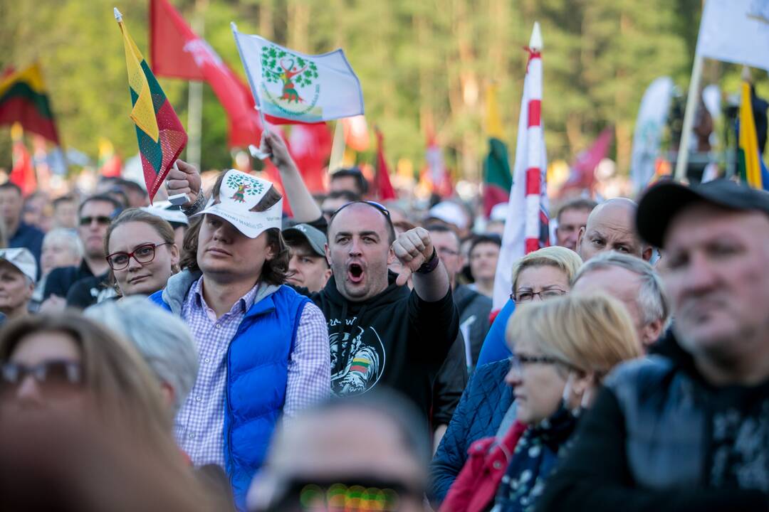 „Didysis šeimos gynimo maršas“ Vingio parke