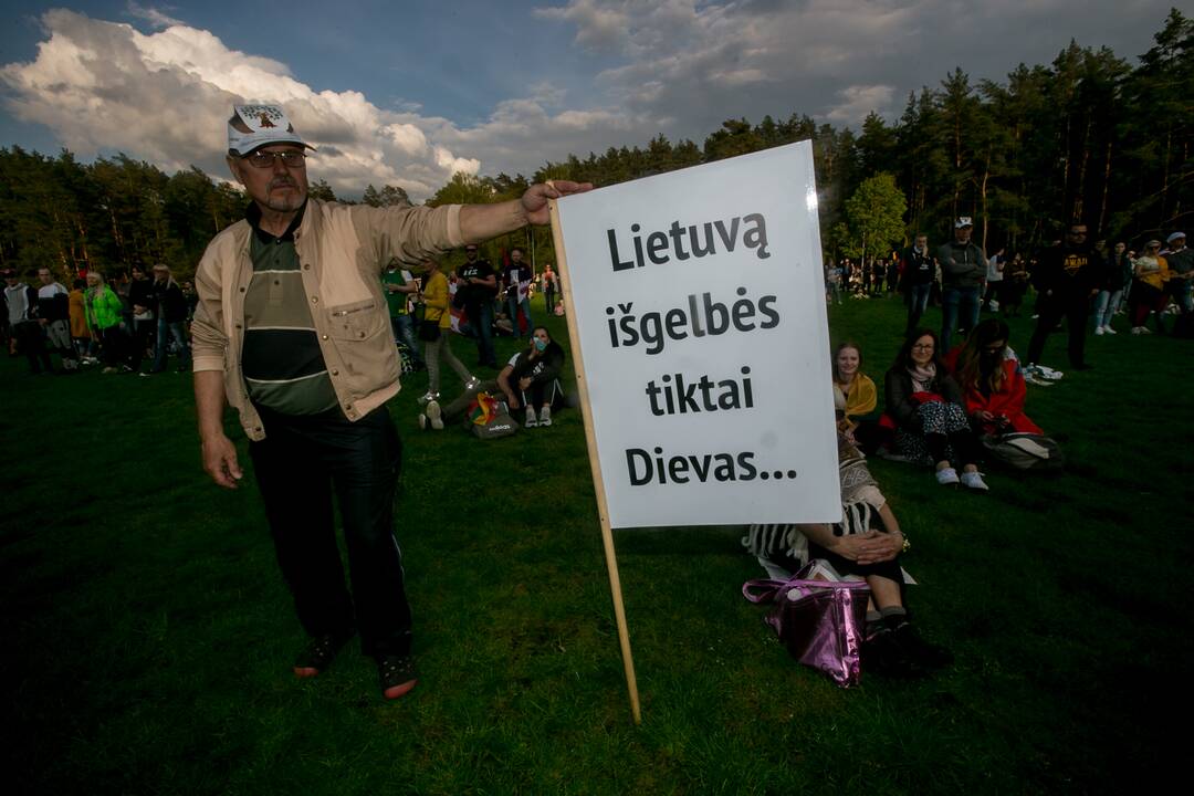 „Didysis šeimos gynimo maršas“ Vingio parke
