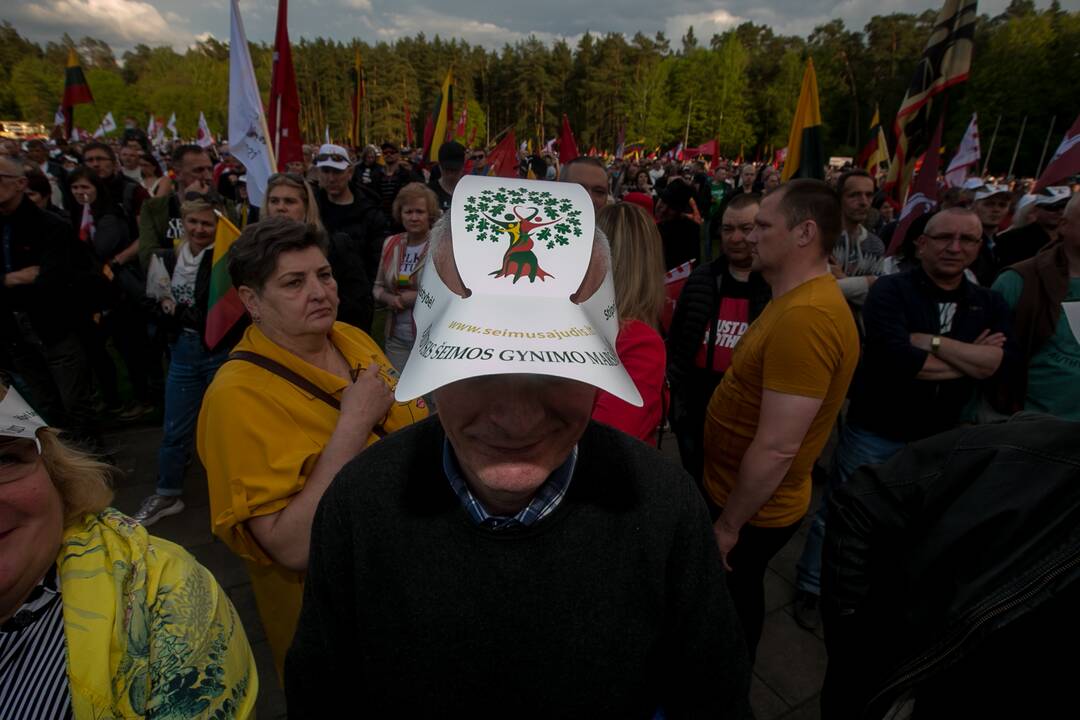 „Didysis šeimos gynimo maršas“ Vingio parke
