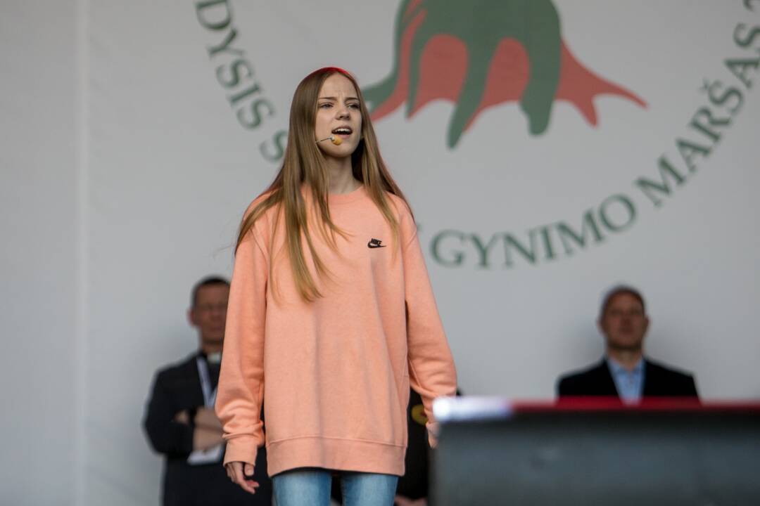„Didysis šeimos gynimo maršas“ Vingio parke