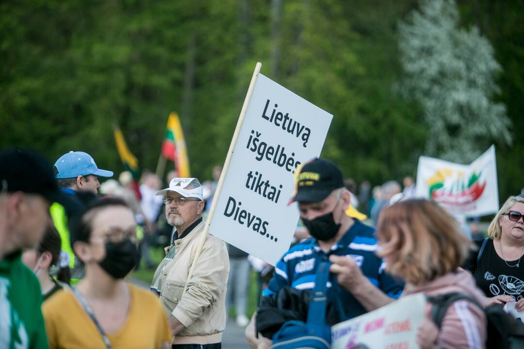 „Didysis šeimos gynimo maršas“ Vingio parke