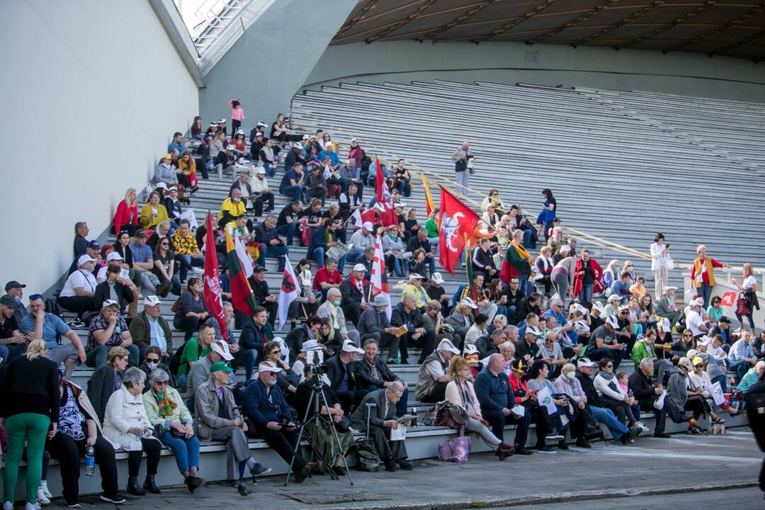 „Didysis šeimos gynimo maršas“ Vingio parke