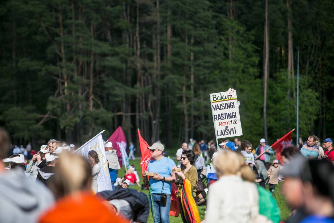 „Didysis šeimos gynimo maršas“ Vingio parke