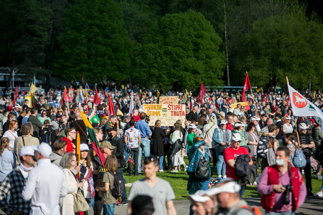 „Didysis šeimos gynimo maršas“ Vingio parke