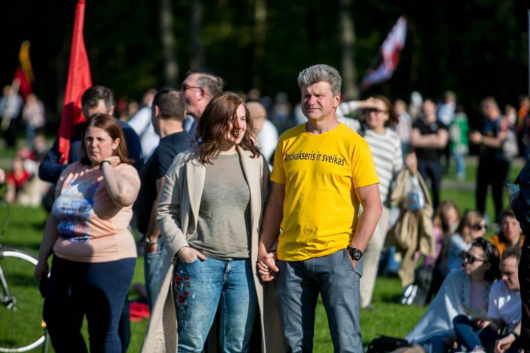 „Didysis šeimos gynimo maršas“ Vingio parke