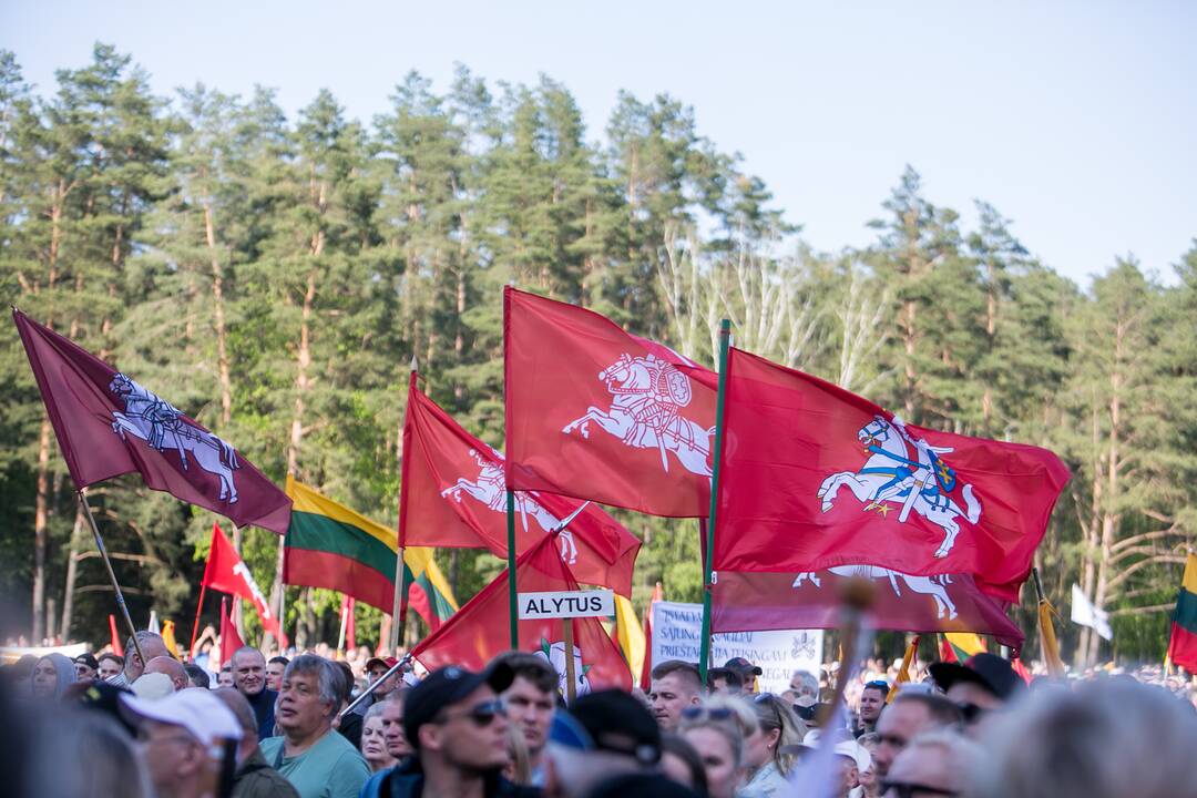 „Didysis šeimos gynimo maršas“ Vingio parke