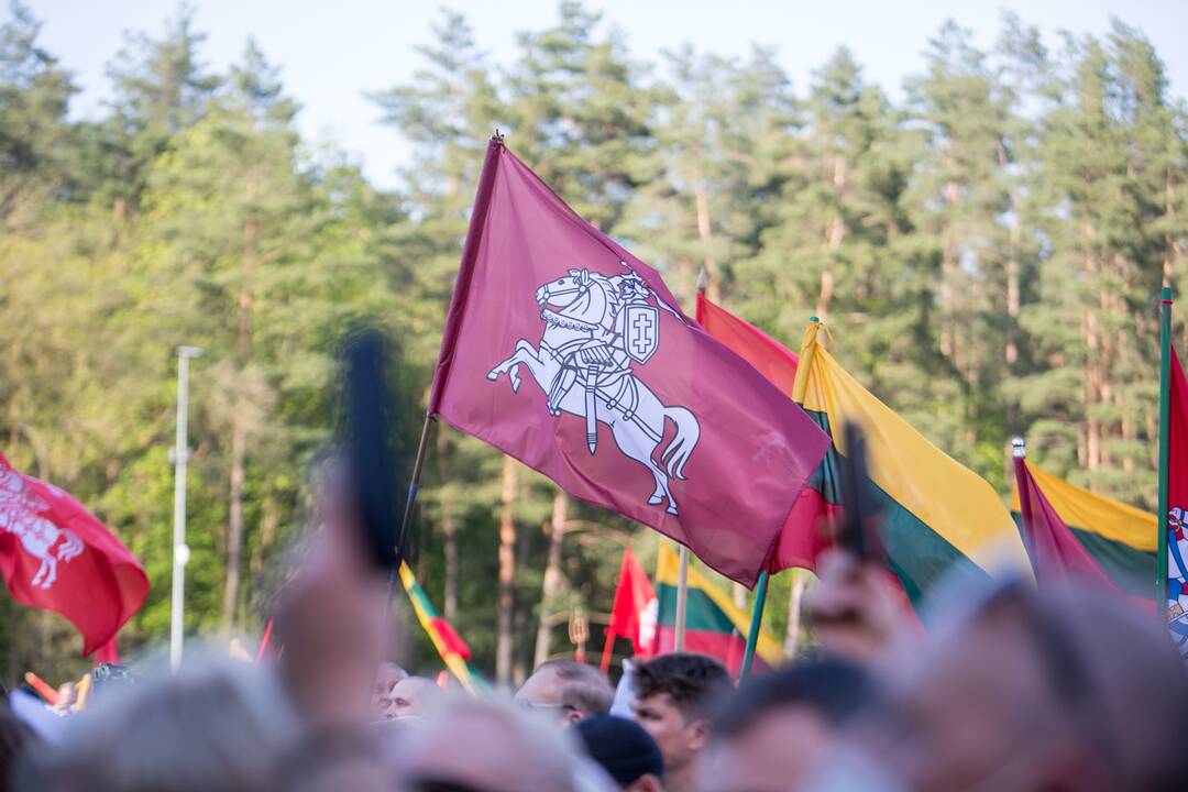 „Didysis šeimos gynimo maršas“ Vingio parke