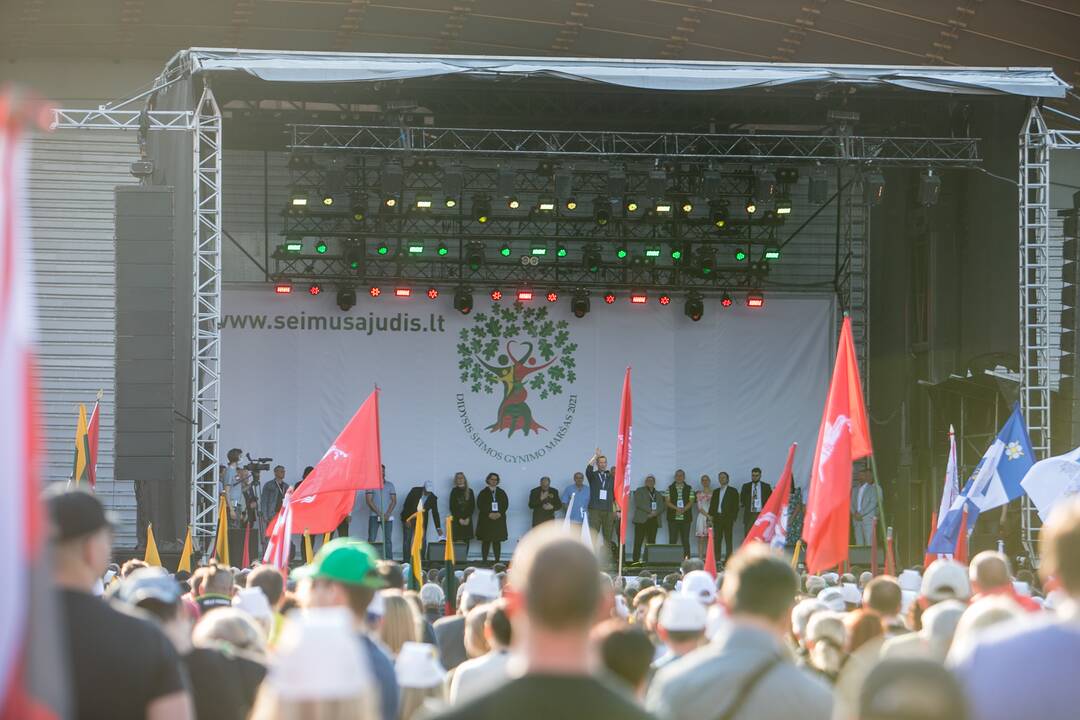 „Didysis šeimos gynimo maršas“ Vingio parke