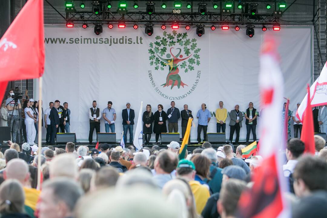 „Didysis šeimos gynimo maršas“ Vingio parke