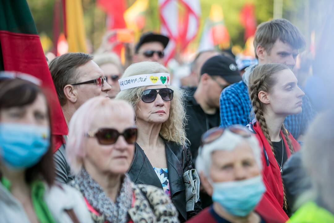 „Didysis šeimos gynimo maršas“ Vingio parke