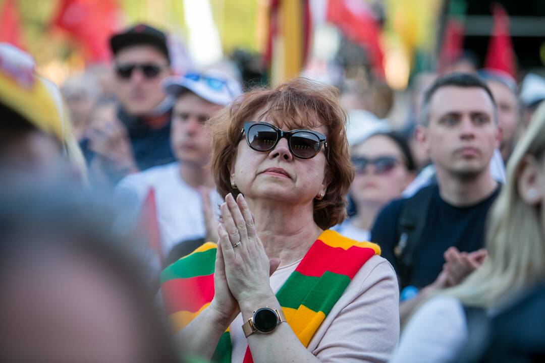 „Didysis šeimos gynimo maršas“ Vingio parke
