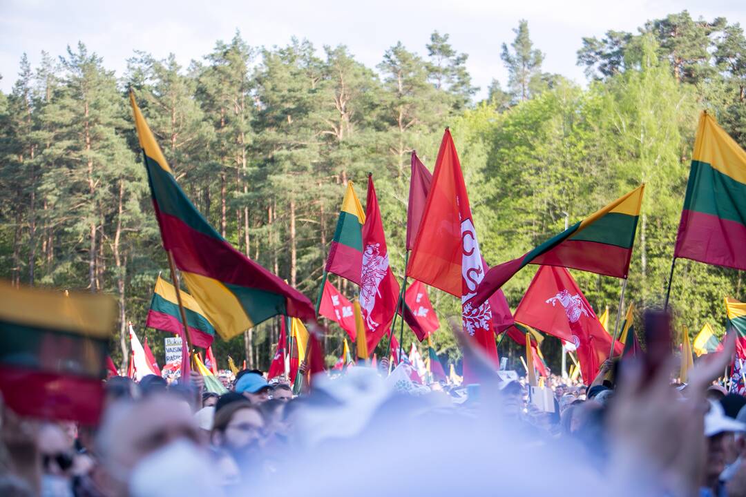 „Didysis šeimos gynimo maršas“ Vingio parke