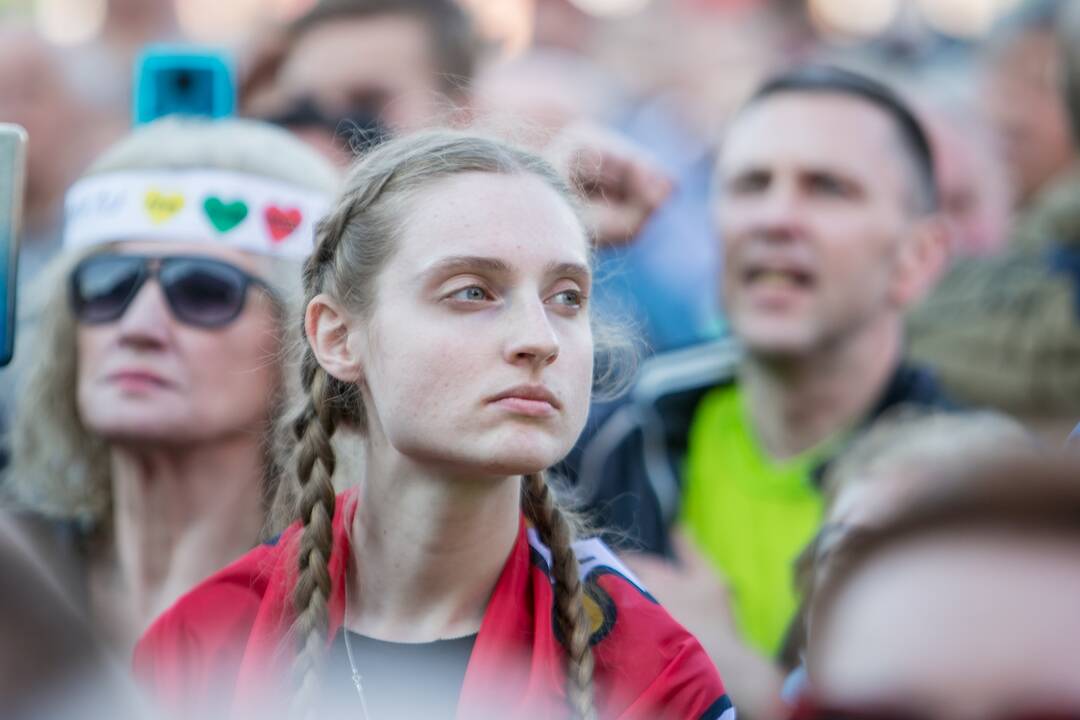 „Didysis šeimos gynimo maršas“ Vingio parke