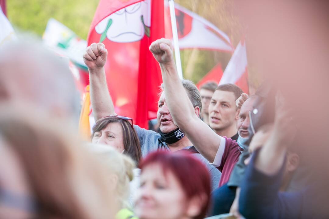 „Didysis šeimos gynimo maršas“ Vingio parke