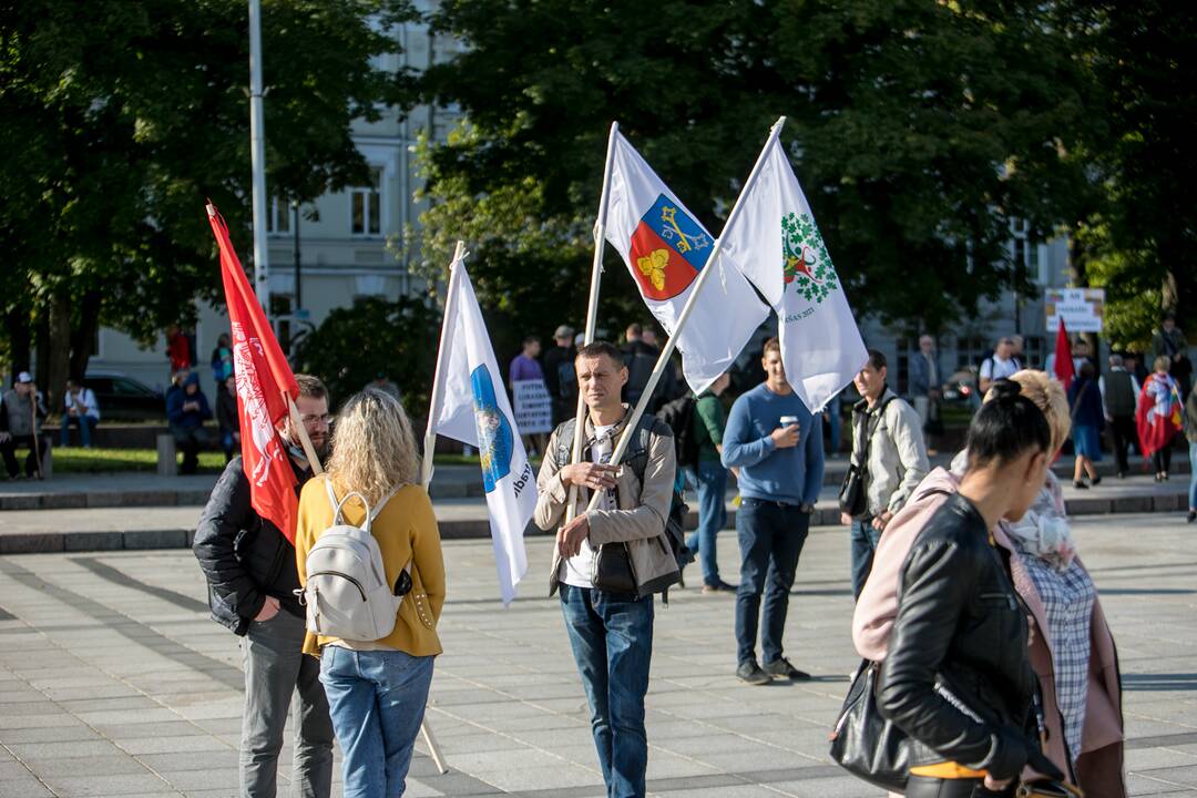 Žmonės renkasi į Šeimų sąjūdžio mitingą prie Katedros