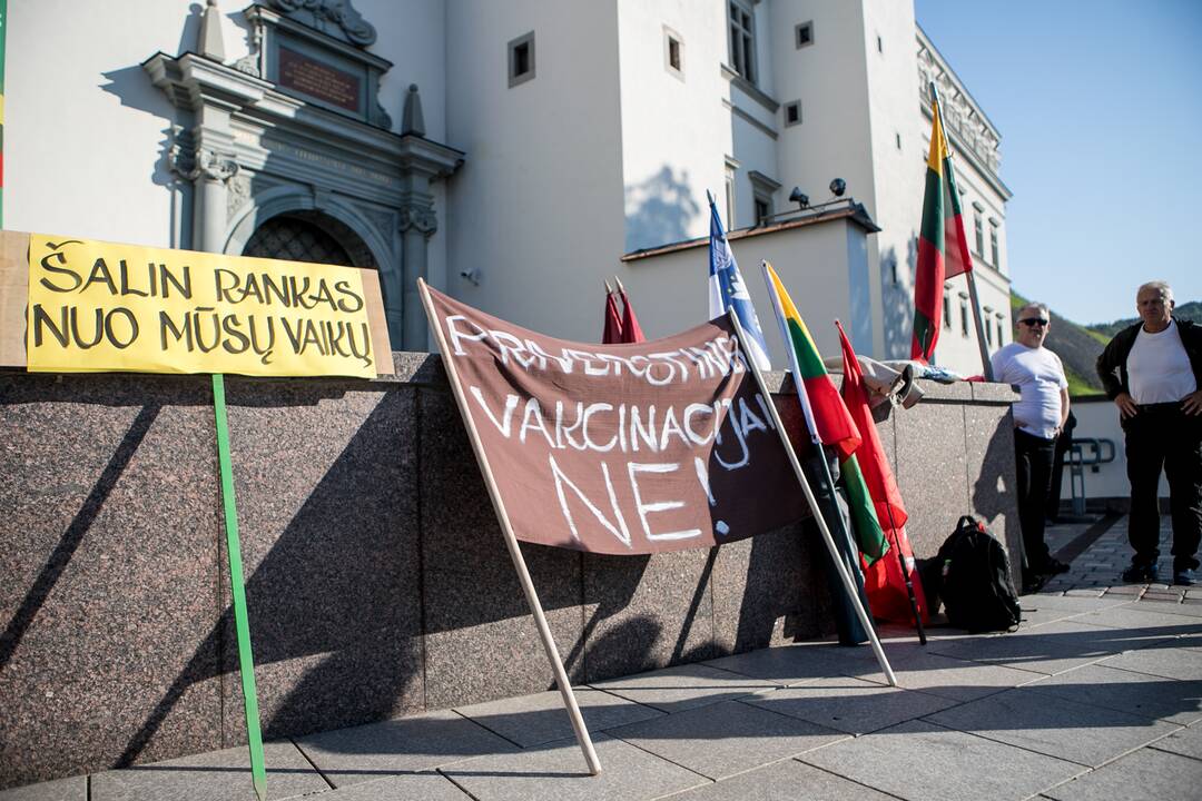 Žmonės renkasi į Šeimų sąjūdžio mitingą prie Katedros