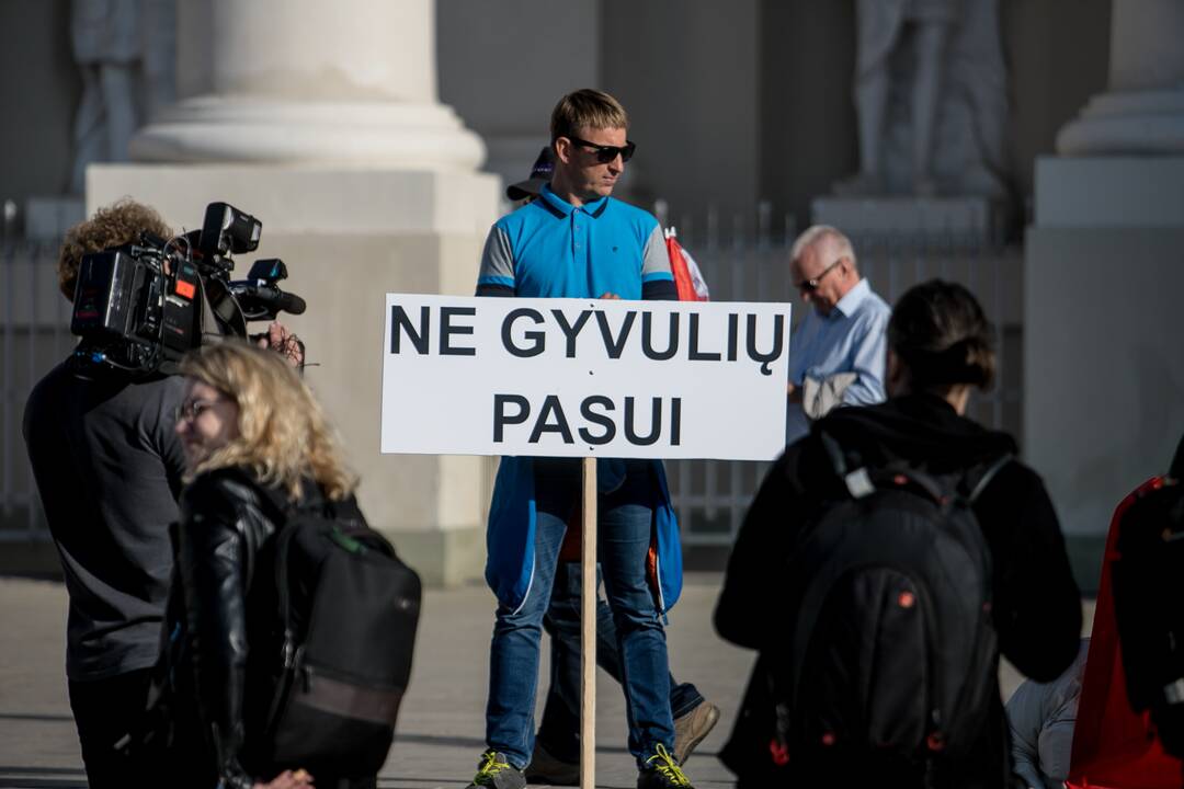 Žmonės renkasi į Šeimų sąjūdžio mitingą prie Katedros